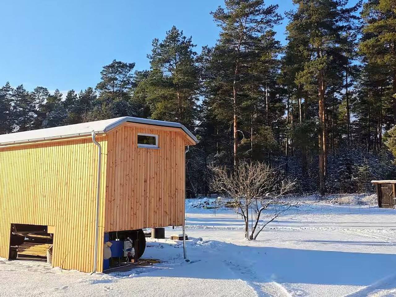 Ganze Ferienwohnung, Ferienwohnungen im Heideblick - Gästesuite am Waldrand, Ausstieg auf Zeit in Walddrehna, Heideblick