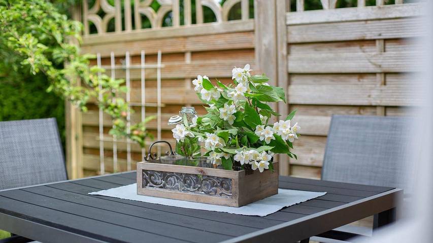 Ferienwohnung für 4 Personen, mit Garten, mit Haustier in Puttgarden - 2