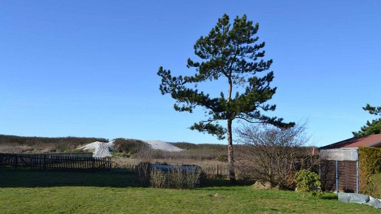 Ferienhaus für 3 Personen (35 m²) in Insel Hiddensee in Hiddensee, Islas del Mar Báltico