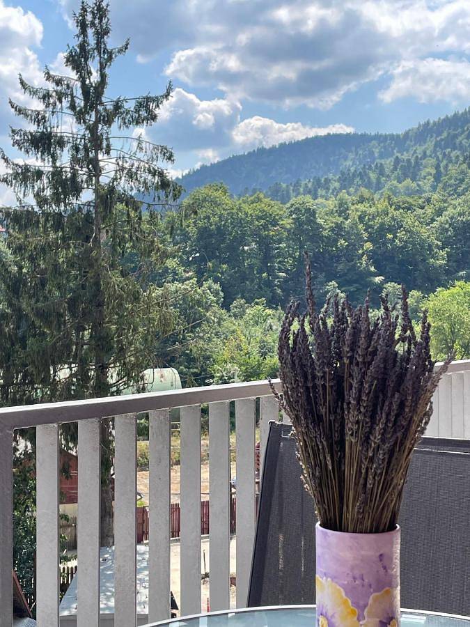 Gîte pour 6 personnes, avec vue et piscine ainsi que sauna et terrasse à Sinaia - 2