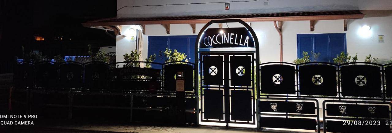 Coccinella in Sabaudia, Agro Pontino