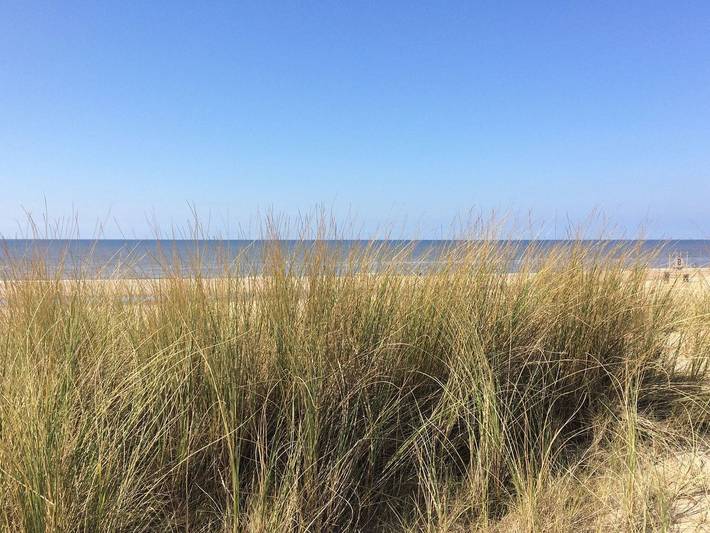 Strandhaus für 4 Personen, mit Terrasse, mit Haustier in Noordwijk - 2