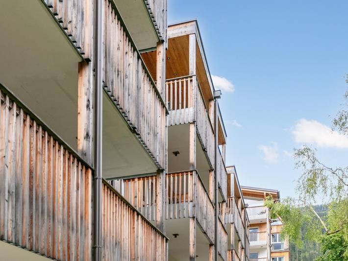 Ganze Wohnung, Wellness-Wohnung mit Süd-West-Balkon in Haus, Schladming-Dachstein