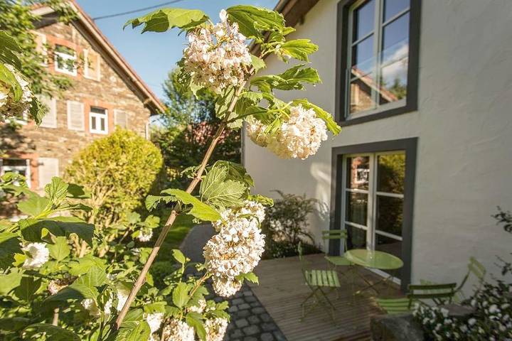 Ferienhaus für 8 Personen, mit Sauna und Terrasse sowie Garten in Rheinland-Pfalz - 2