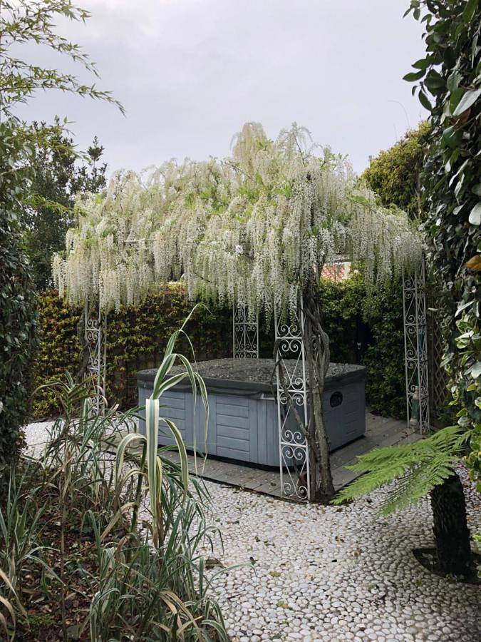 Maison d’hôte pour 12 personnes, avec terrasse et vue à Noirmoutier - 3