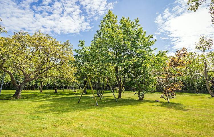 Ferienhaus für 2 Personen, mit Terrasse und Garten in De Cocksdorp - 2