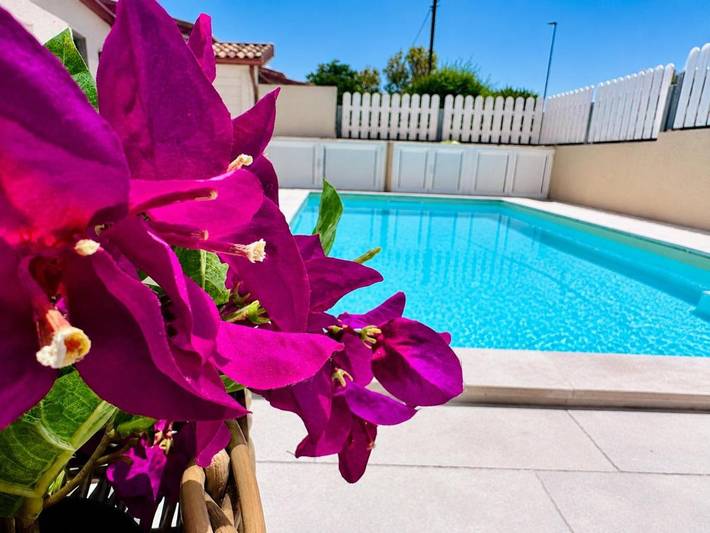Chalet para 8 personas, con piscina además de jacuzzi y jardín - 1