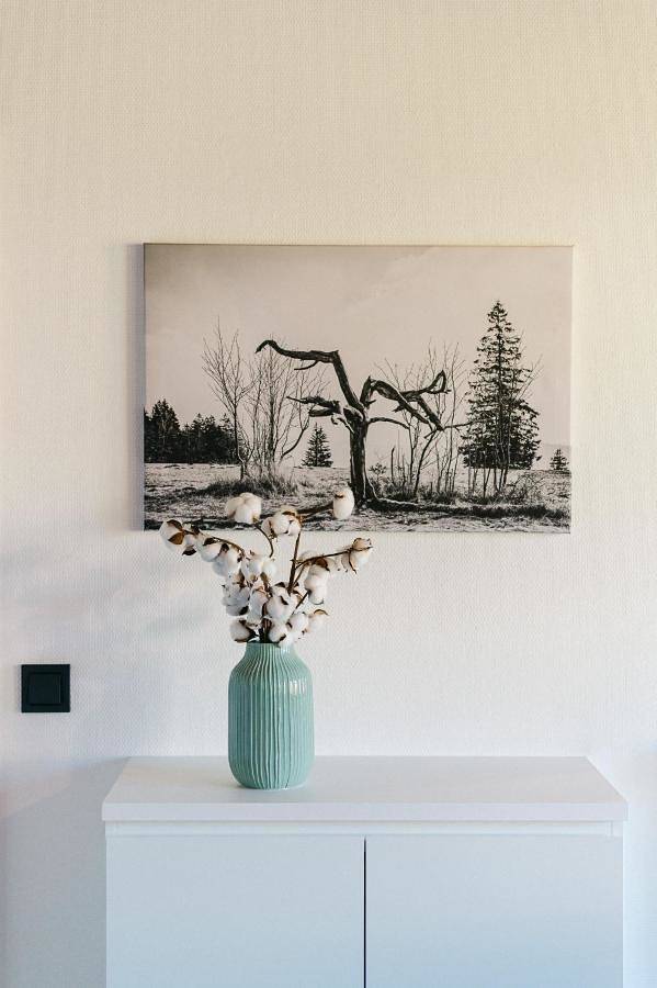 Ferienwohnung für 2 Personen, mit Balkon und Garten sowie Ausblick in Simonswald - 3