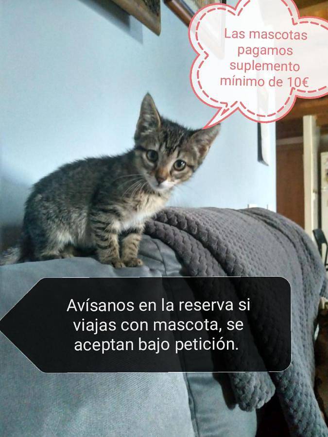 Casa rural para 6 personas, con balcón y vistas, Familias con niños en Gijón - 2