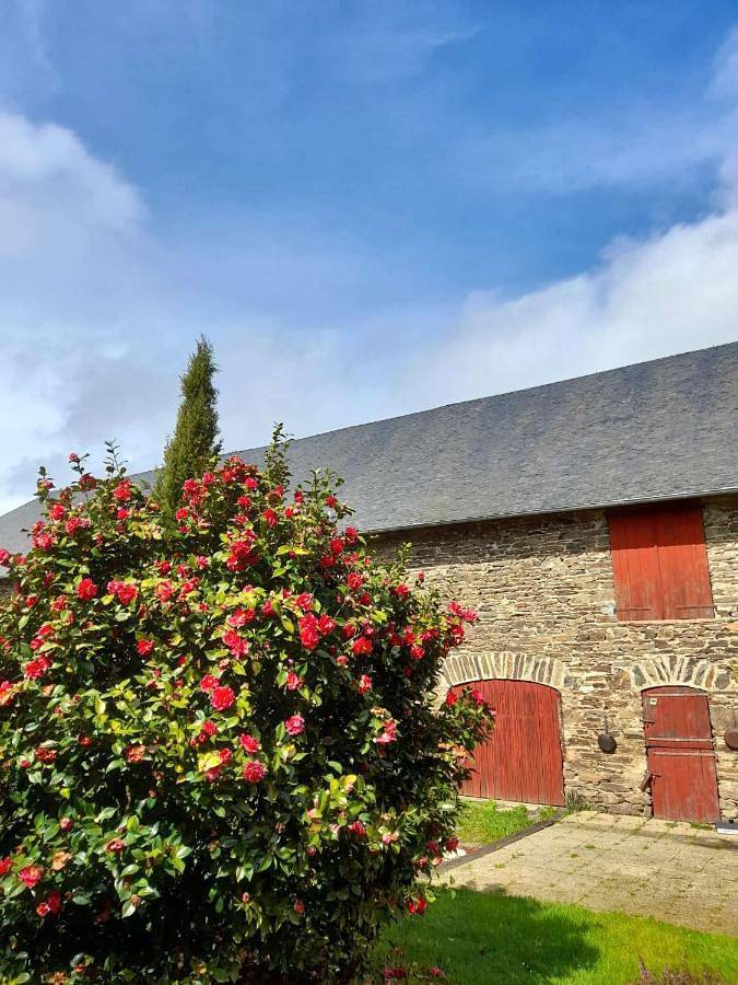 Location de vacances pour 6 personnes, avec vue et jardin, adapté aux familles à Troche - 2