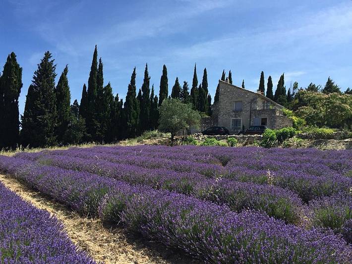 Location de vacances pour 9 personnes, avec piscine et jardin à La Garde-Adhémar - 3