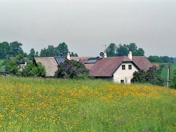Ferienhaus für 10 Personen, mit Garten und Sauna, mit Haustier in Waldviertel - 2