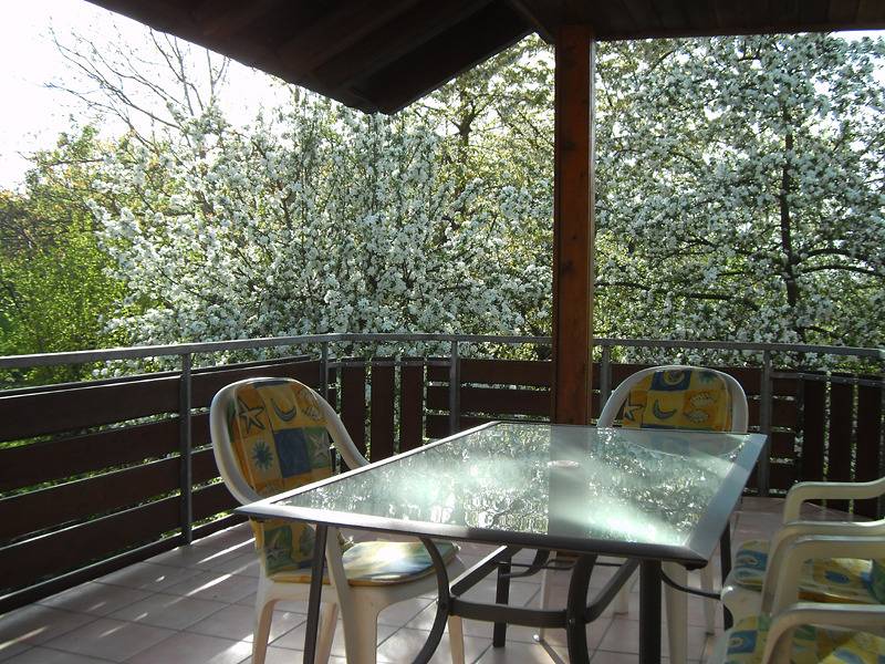 Ganze Ferienwohnung, Ferienhaus Steiger - Ferienwohnung B, 100qm, 2 Schlafzimmer, max. 5 Personen in Meersburg, Region Bodensee-Oberschwaben