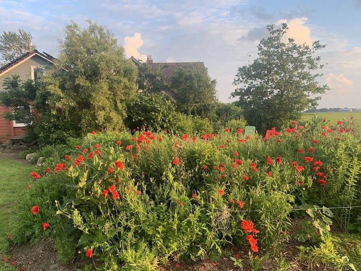 Ganze Wohnung, Nordseefewo Lämmerblick in Stedesand, Nordfriesland