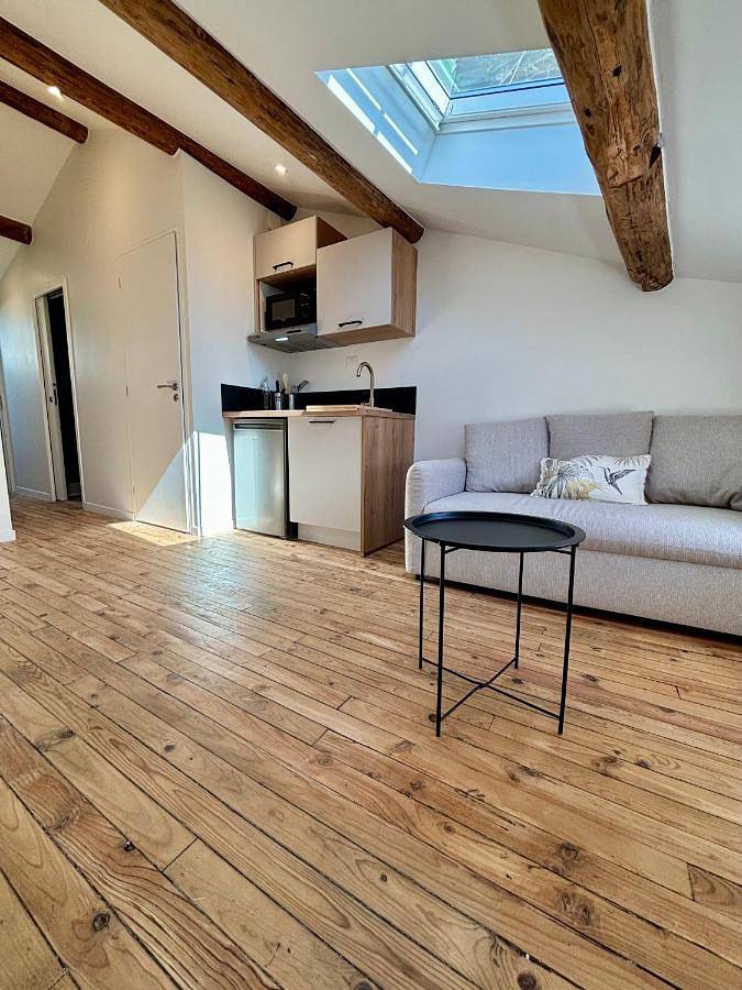 Gîte pour 3 personnes, animaux acceptés à Saint-Dizier - 3