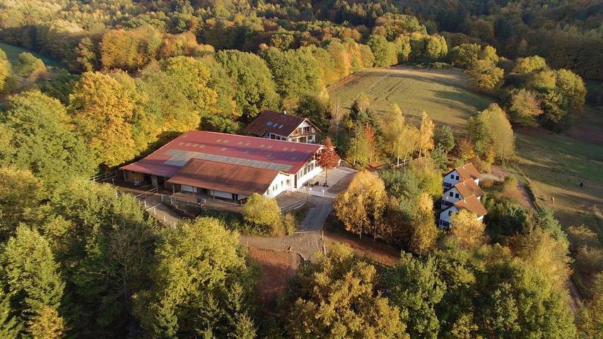 Ferienhaus für 6 Personen, mit Garten und Terrasse, mit Haustier im Saarland - 4