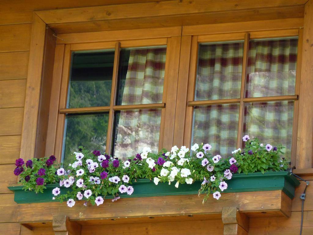 Geheel vakantieappartement, Haus Bergblick in Rauris, Appartements in Rauris, Ski Amadé