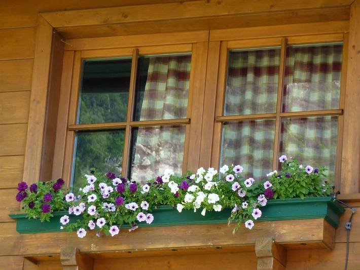 Ferienwohnung für 4 Personen, mit Balkon und Garten, mit Haustier in Rauris - 3