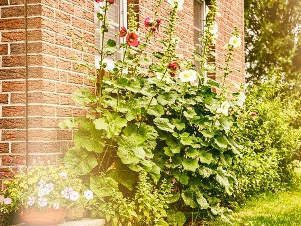 Ganze Ferienwohnung, Pension Seeluft - Pension Seeluft - Dz 22 in Niehagen, Ahrenshoop