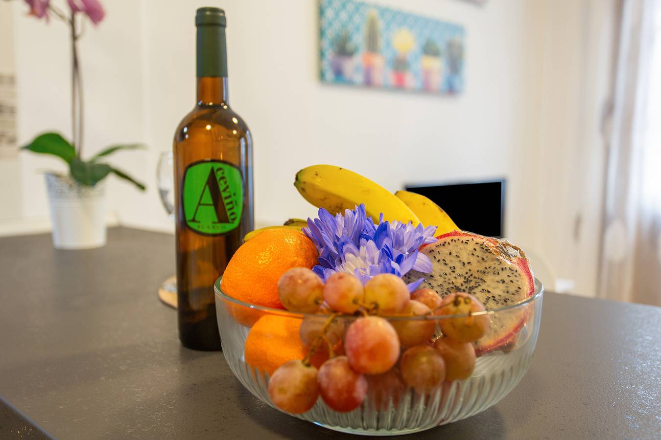 Ganze Wohnung, Ferienwohnung 'Rolycar 203' mit Wlan in Icod de los Vinos, Teneriffa Nord