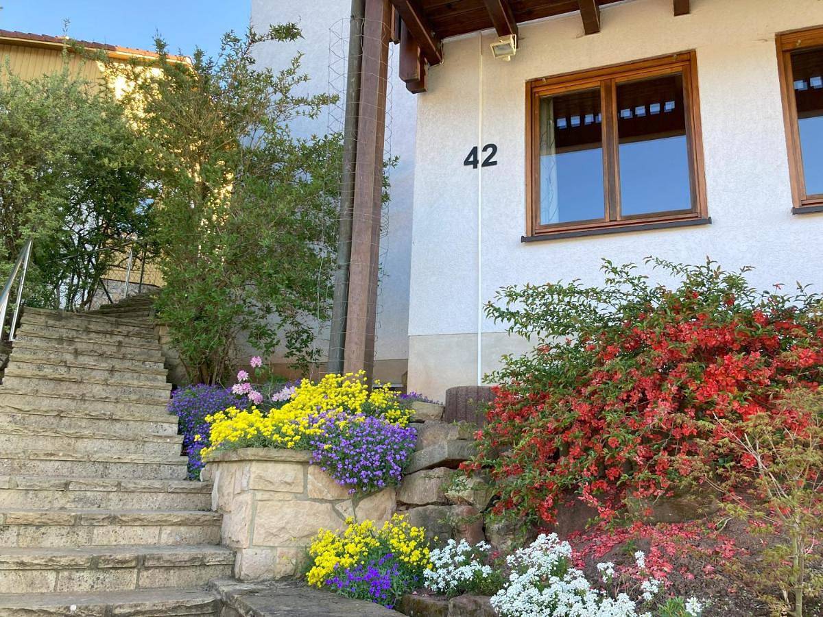 Ganze Wohnung, Ferienwohnung mit Weitblick in Lambrecht, Saar-Nahe-Bergland