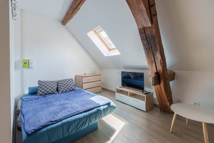 Ganze Wohnung, Le 4 Saint-Blaise - Studio spacieux et rénové in Autun, Autun und Umgebung