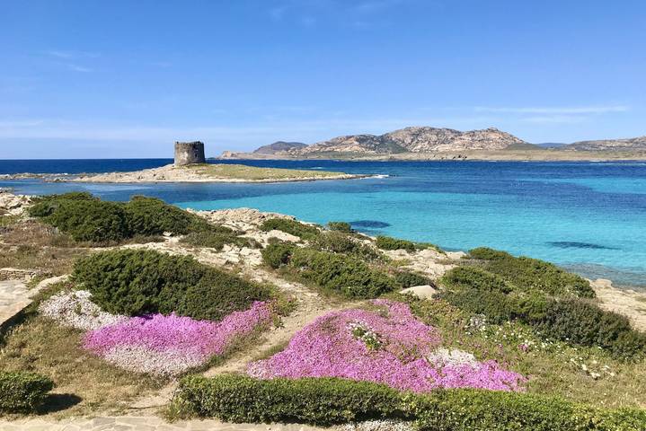 Studio pour 2 personnes, avec Balcon/Terrasse et Vue sur l’océan en Sardaigne - 4