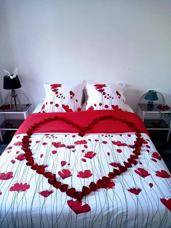 Gîte pour 2 personnes, avec vue et terrasse à Saint-Romain-sur-Cher - 4