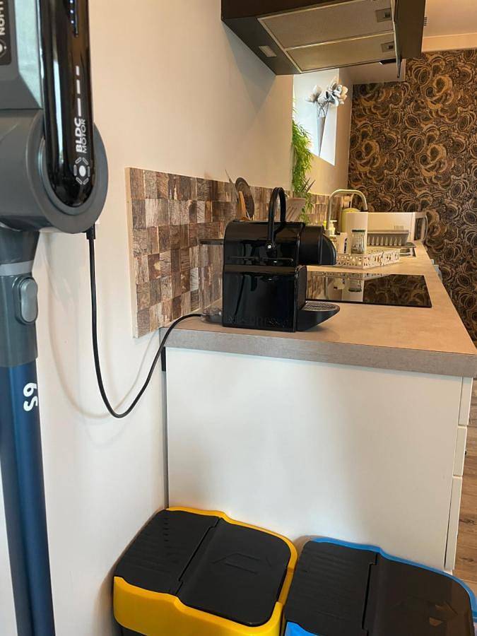 Gîte pour 4 personnes, avec terrasse dans Bâlines - 4