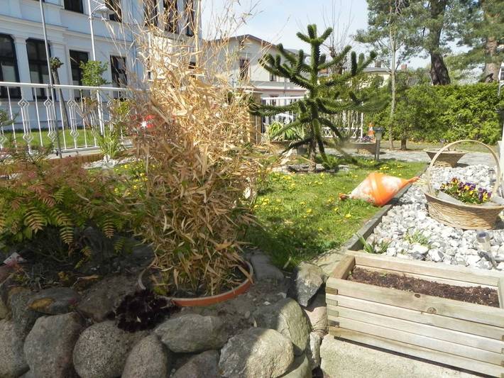 Ferienwohnung für 2 Personen, mit Terrasse und Garten in Ahlbeck - 3