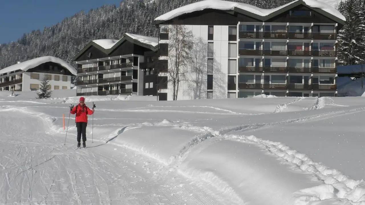 Ganze Ferienwohnung, Ferienwohnung für 3 Personen (30 m²) in Balderschwang in Balderschwang, Bayerisch Schwaben