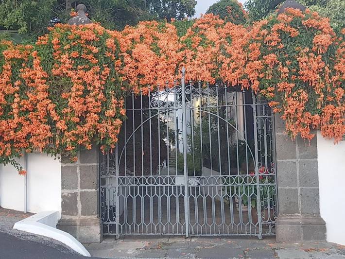 Location de vacances pour 6 personnes, avec vue ainsi que piscine et jardin à Santa Cruz de La Palma - 4