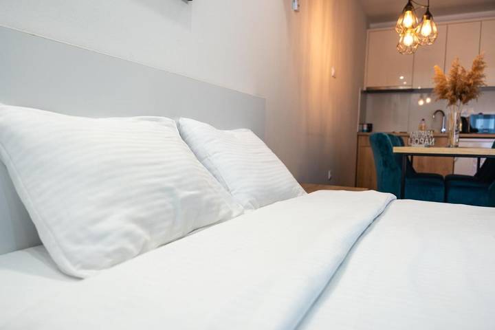 Gîte pour 3 personnes, avec sauna et balcon à Novi Sad - 2