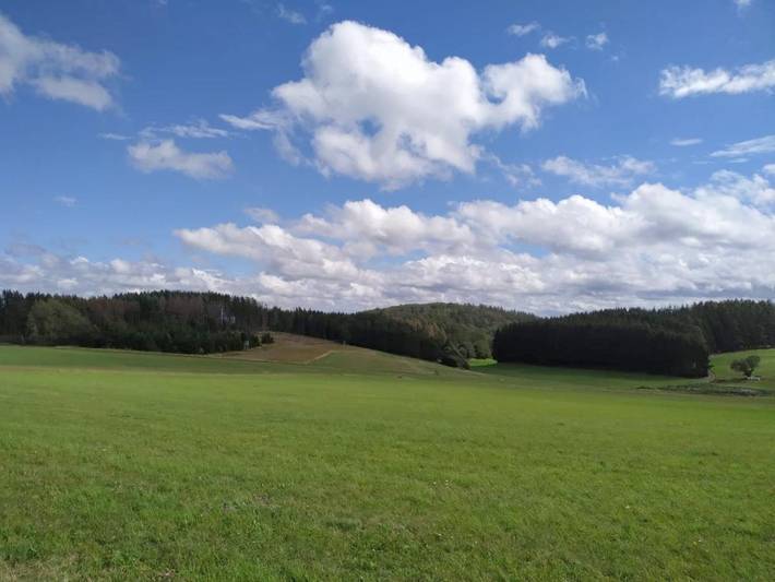Ferienwohnung für 6 Personen, mit Balkon und Garten sowie Ausblick in Bromskirchen - 2