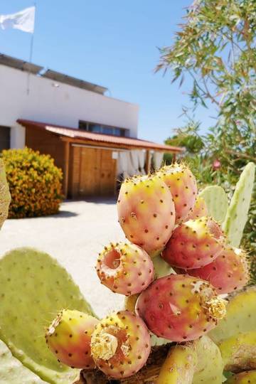 Agriturismo per 2 Persone in Marsala, Provincia di Trapani, Foto 2