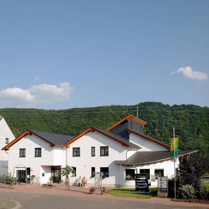Ferienwohnung für 2 Personen, mit Terrasse und Garten in Minheim