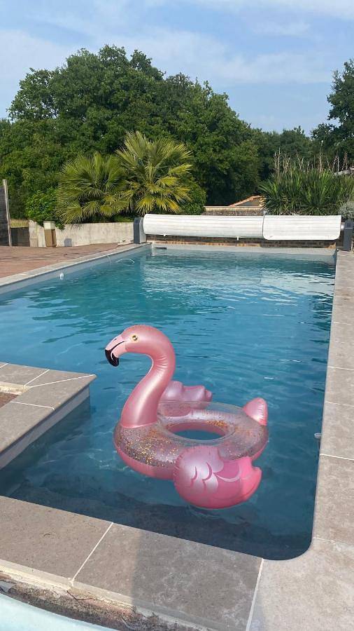 Location de vacances pour 4 personnes, avec bassin pour enfant ainsi que jardin et piscine, animaux acceptés à Monnières - 2