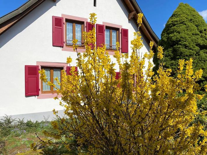 Location de vacances pour 8 personnes, avec jardin, adapté aux familles à Dieffenbach-au-Val - 3
