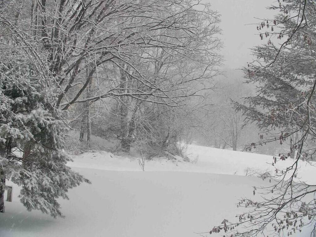 Cottage for 4 Guests in Raritan Township, New Jersey