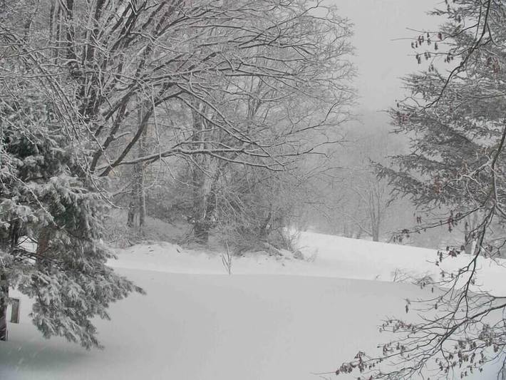 Cottage for 4 people, with pets in New Jersey