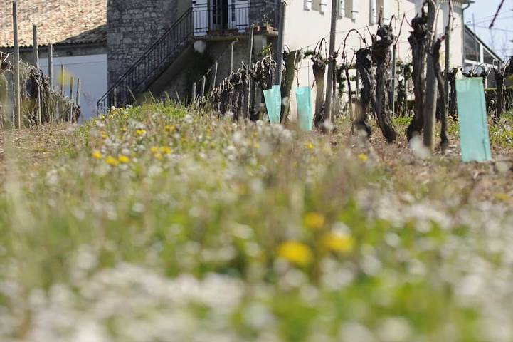 Gîte pour 4 personnes, avec terrasse et jardin à Margueron