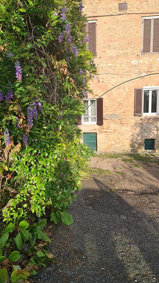 Maison d’hôte pour 2 personnes, avec jardin ainsi que terrasse et vue à Sienne - 2