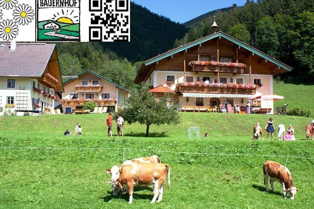 Am Schmiedbauernhof Familie Leitner/Leitgeb - Apartment I 2 in Faistenau, Salzkammergut