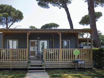 Glamping per 6 Persone in Roma, Provincia di Roma, Foto 1