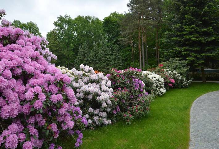 Ferienhaus für 5 Personen, mit Garten in Dresden - 2
