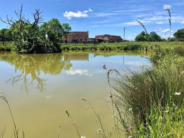 Gîte pour 4 personnes, avec jardin dans Villeneuve-en-Perseigne - 3