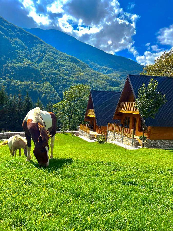 Ferienhaus für 6 Personen, mit Balkon und Terrasse sowie Garten und Ausblick in Kosovo