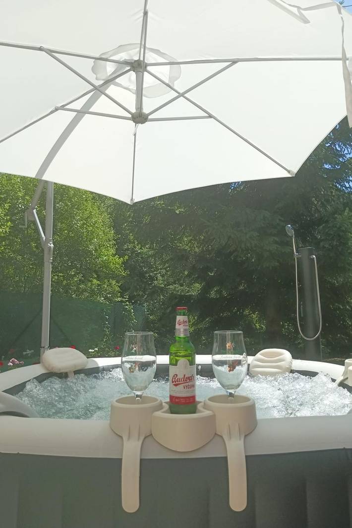 Wellness Villa near Prague - all inclusive in Vranov, Beneschau