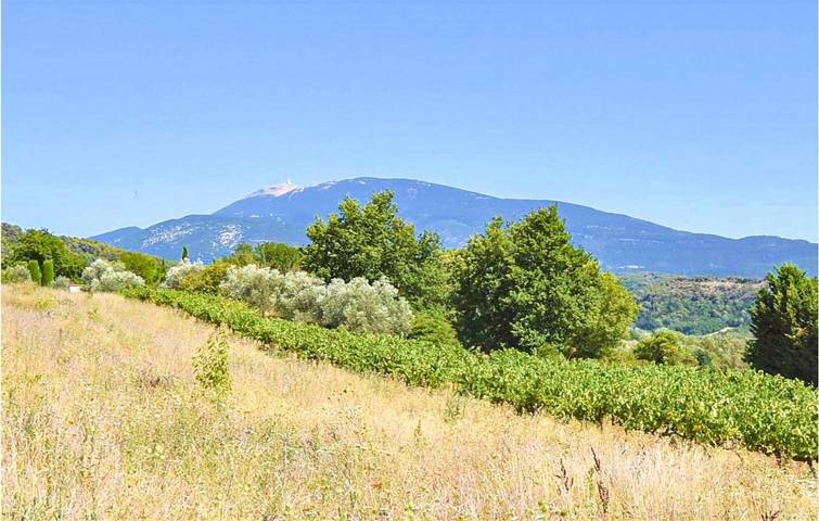 Location de vacances pour 3 personnes, avec jardin à Saint-Marcellin-lès-Vaison - 3