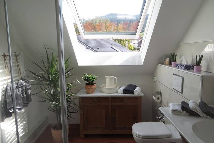 Ganze Wohnung, Loft Ferienwohnung bei Baden-Baden in Eisental, Bühl